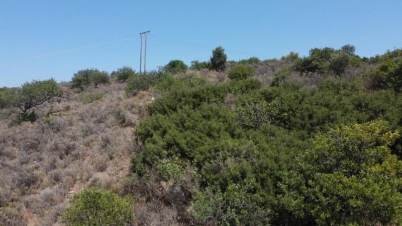 Neo Chorio im Apokoronas Kreta, Neo Chorio: Grundstück zu verkaufen Grundstück kaufen